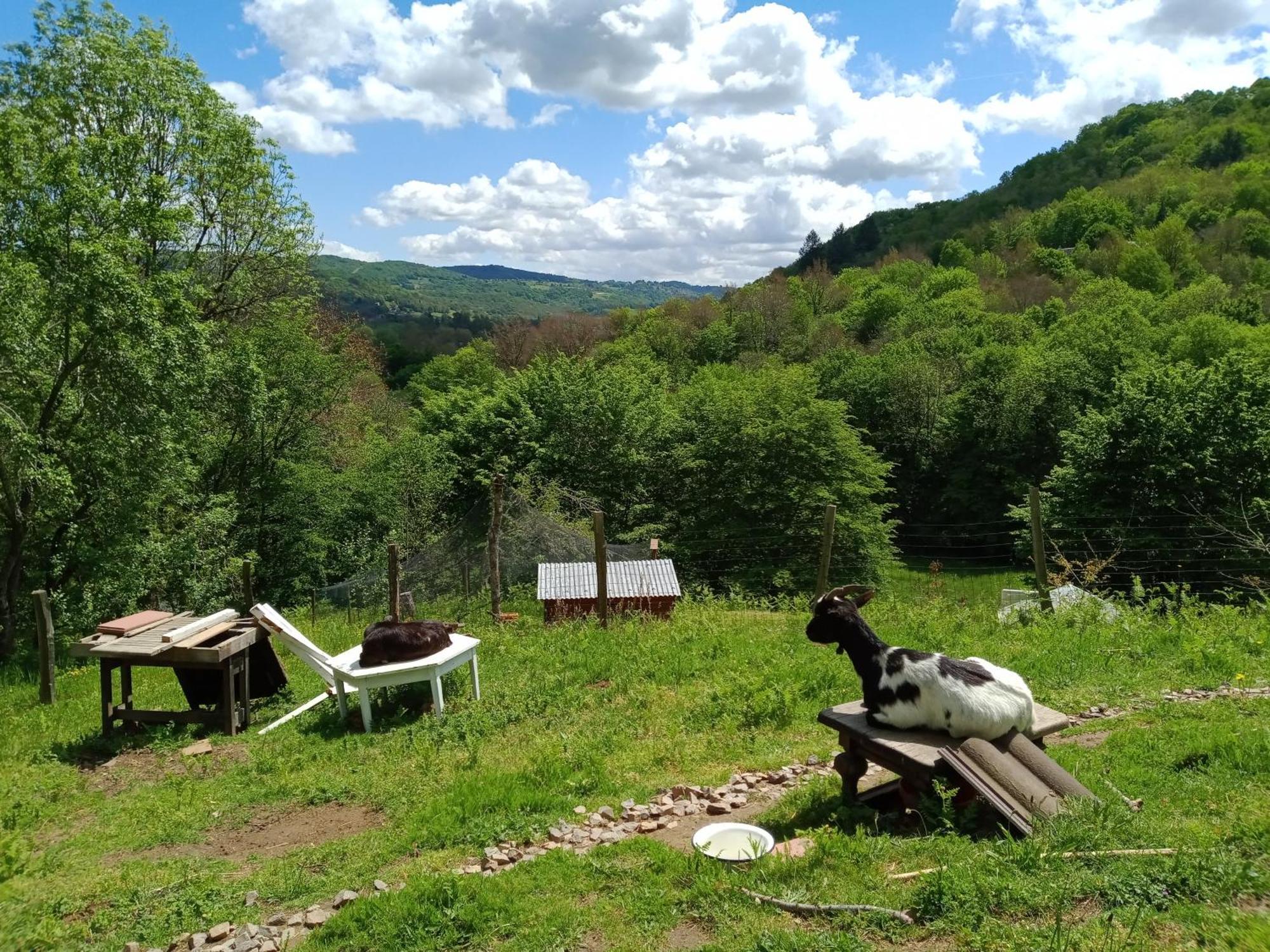 Appartement Les Cavaleries à Nonards Extérieur photo
